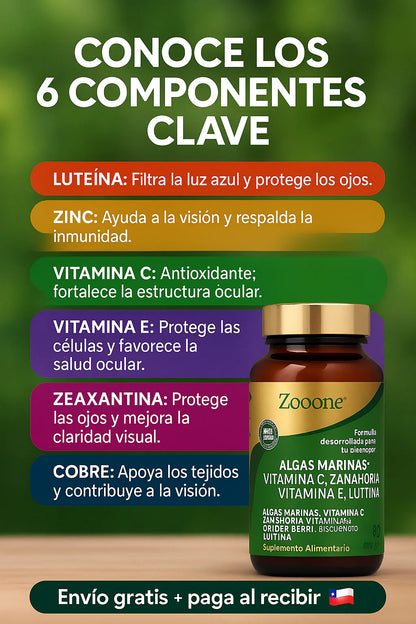 Zooone™ l Nutrición ocular diaria para ver nítido y sin cansancio - 100% Natural
